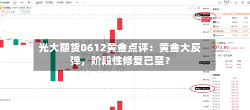 光大期货0612黄金点评：黄金大反弹，阶段性修复已至？-第3张图片