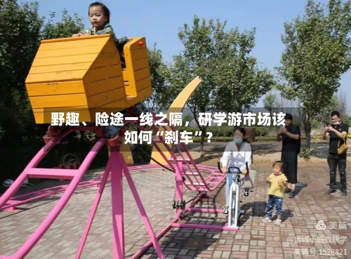 野趣、险途一线之隔，研学游市场该如何“刹车”？-第2张图片