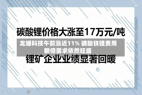 龙蟠科技午前涨近11% 磷酸铁锂费用
翻倍需求依然旺盛-第2张图片