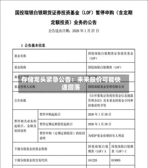 存储龙头紧急公告:未来股价可能快速回落-第2张图片