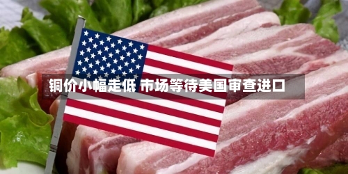 铜价小幅走低 市场等待美国审查进口