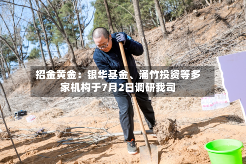 招金黄金：银华基金、涌竹投资等多家机构于7月2日调研我司-第2张图片