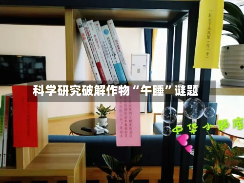 科学研究破解作物“午睡	”谜题-第3张图片