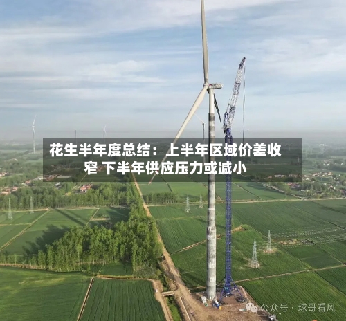 花生半年度总结：上半年区域价差收窄 下半年供应压力或减小-第3张图片