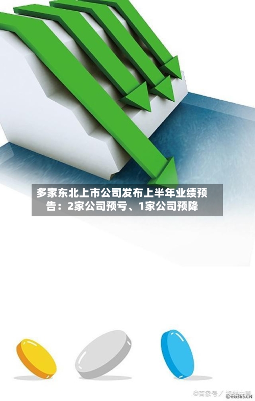 多家东北上市公司发布上半年业绩预告：2家公司预亏、1家公司预降-第2张图片