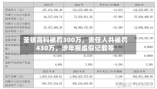 荃银高科被罚300万，责任人共被罚430万，涉年报虚假记载等-第1张图片