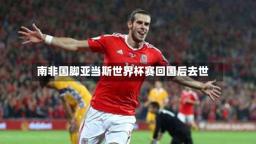 南非国脚亚当斯世界杯赛回国后去世