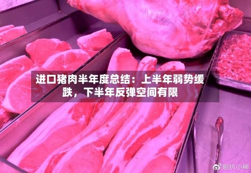 进口猪肉半年度总结：上半年弱势缓跌，下半年反弹空间有限-第3张图片