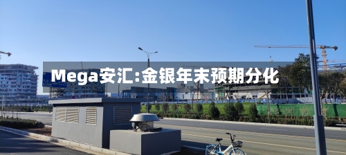 Mega安汇:金银年末预期分化-第2张图片