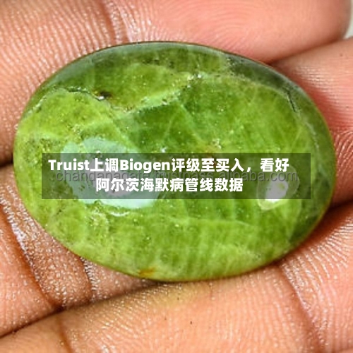 Truist上调Biogen评级至买入	，看好阿尔茨海默病管线数据-第2张图片