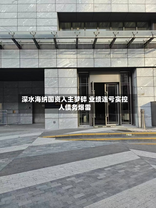 深水海纳国资入主梦碎 业绩连亏实控人债务爆雷-第2张图片