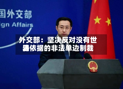 外交部:坚决反对没有世界
法依据的非法单边制裁-第2张图片
