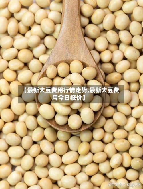 【最新大豆费用行情走势,最新大豆费用今日报价】-第1张图片