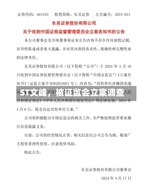 ST文峰，被证监会立案调查-第2张图片