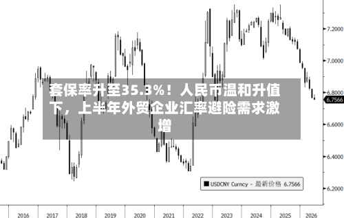 套保率升至35.3%！人民币温和升值下	，上半年外贸企业汇率避险需求激增-第3张图片