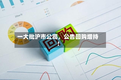 一大批沪市公司，公告回购增持！-第3张图片