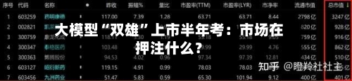 大模型“双雄”上市半年考：市场在押注什么？-第3张图片