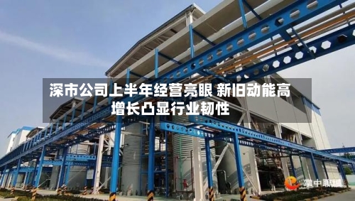 深市公司上半年经营亮眼 新旧动能高增长凸显行业韧性-第2张图片