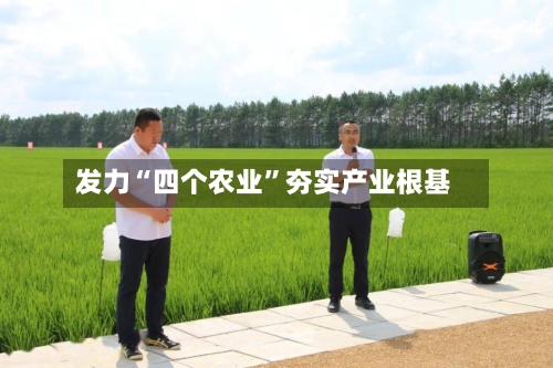 发力“四个农业”夯实产业根基