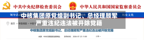 中核集团原党组副书记、总经理顾军严重违纪违法被开除党籍-第3张图片