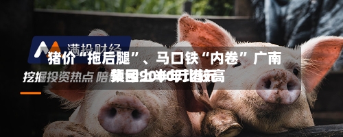 猪价“拖后腿”	、马口铁“内卷” 广南集团上半年比较高预亏9000万港元-第2张图片