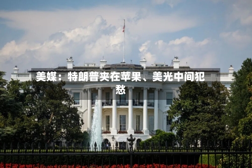 美媒：特朗普夹在苹果、美光中间犯愁-第2张图片