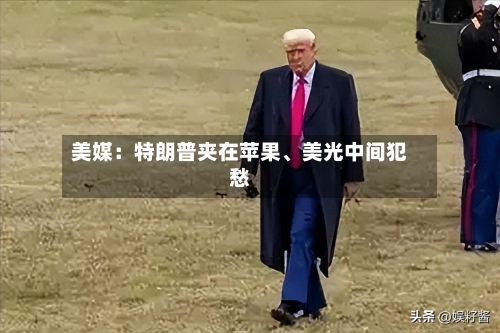 美媒：特朗普夹在苹果、美光中间犯愁-第3张图片