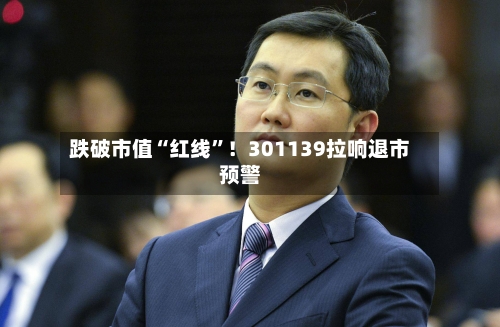跌破市值“红线”！301139拉响退市预警-第2张图片