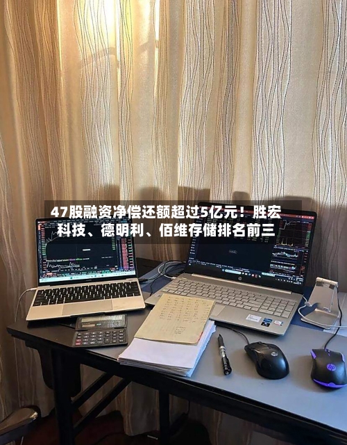47股融资净偿还额超过5亿元！胜宏科技、德明利、佰维存储排名前三-第2张图片