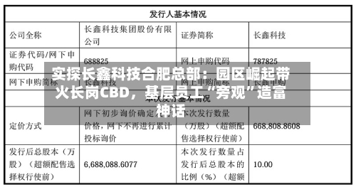 实探长鑫科技合肥总部：园区崛起带火长岗CBD	，基层员工“旁观”造富神话-第2张图片