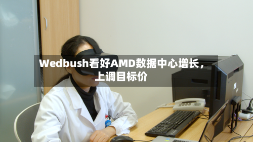 Wedbush看好AMD数据中心增长，上调目标价-第3张图片