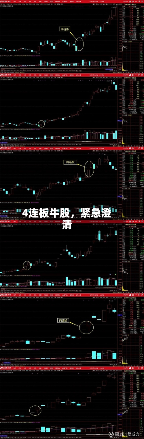 4连板牛股	，紧急澄清-第2张图片