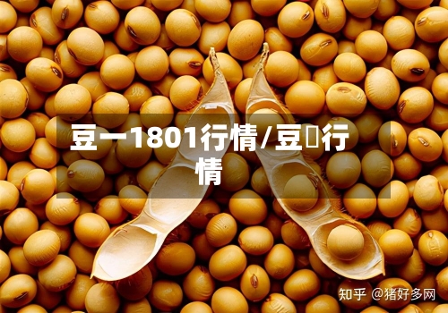豆一1801行情/豆粨行情