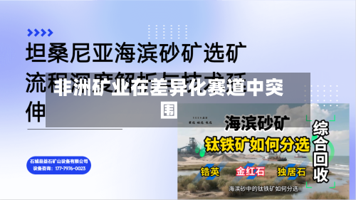 非洲矿业在差异化赛道中突围-第3张图片