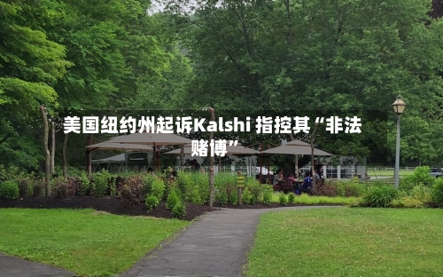 美国纽约州起诉Kalshi 指控其“非法赌博	”-第2张图片