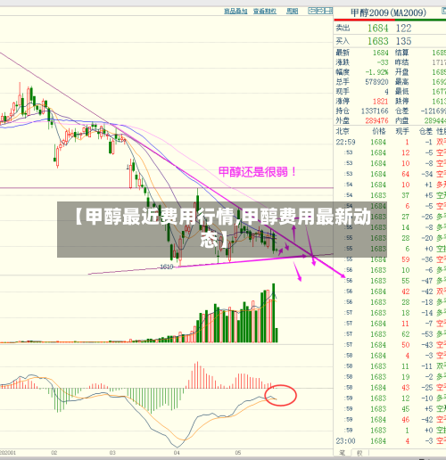 【甲醇最近费用行情,甲醇费用最新动态】-第1张图片