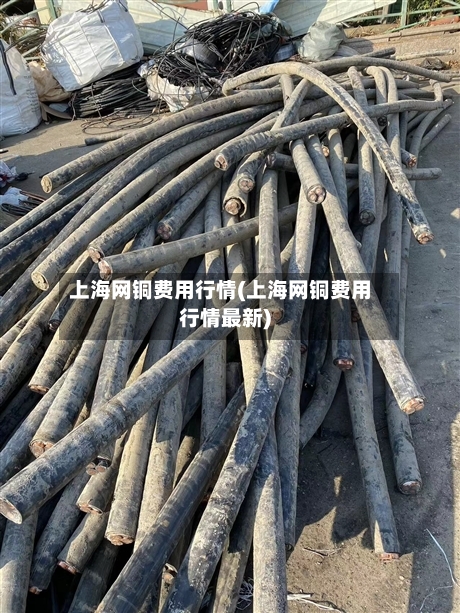 上海网铜费用行情(上海网铜费用行情最新)-第2张图片
