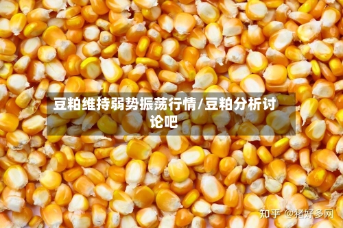 豆粕维持弱势振荡行情/豆粕分析讨论吧