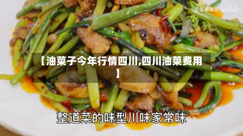 【油菜子今年行情四川,四川油菜费用】-第3张图片