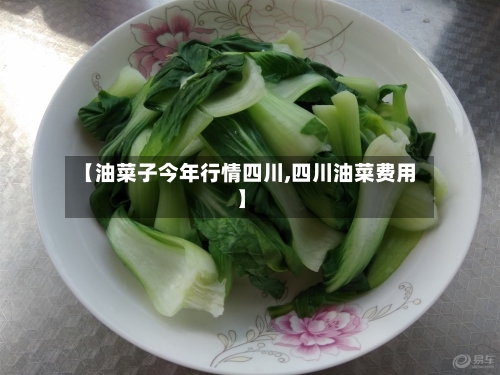【油菜子今年行情四川,四川油菜费用】-第2张图片