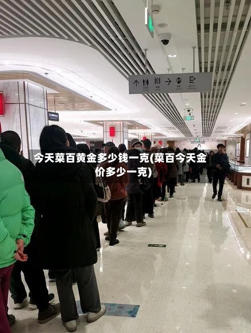 今天菜百黄金多少钱一克(菜百今天金价多少一克)