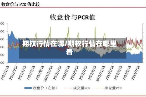 期权行情在哪/期权行情在哪里看