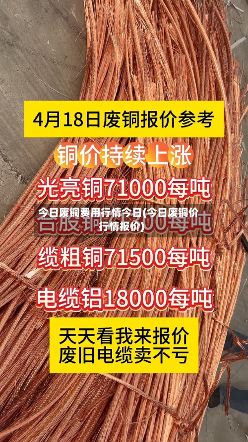 今日废铜费用行情今日(今日废铜价行情报价)-第2张图片