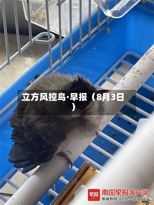 立方风控鸟·早报(8月3日)-第2张图片