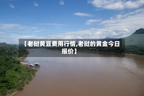 【老挝黄豆费用行情,老挝的黄金今日报价】