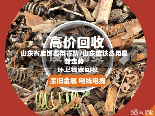 山东省废锡费用行情/山东废铁费用最新走势-第2张图片