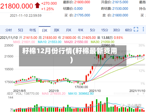 籽棉12月份行情(籽棉最新费用)