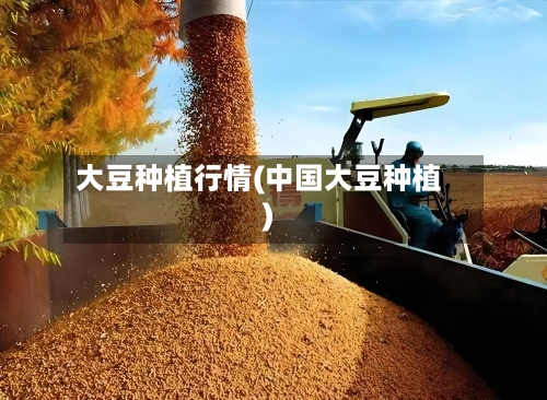 大豆种植行情(中国大豆种植)-第3张图片