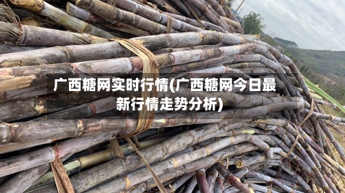 广西糖网实时行情(广西糖网今日最新行情走势分析)