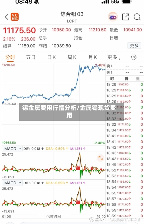 锡金属费用行情分析/金属锡现货费用